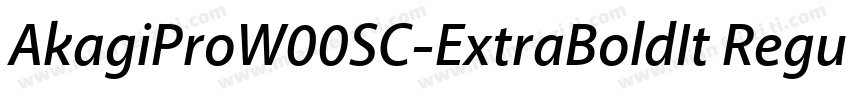 AkagiProW00SC-ExtraBoldIt Regular字体转换